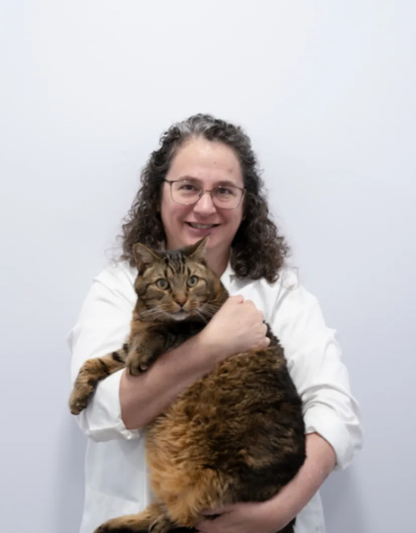 Dr. Patricia Katz at Gunston & Dale City Animal Hospital